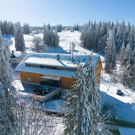 Stube9 Am Feldberg, Direkt An Der Skipiste, Ski In-Ski Out フェルトベルク エクステリア 写真