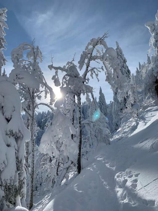 Stube9 Am Feldberg, Direkt An Der Skipiste, Ski In-Ski Out フェルトベルク エクステリア 写真