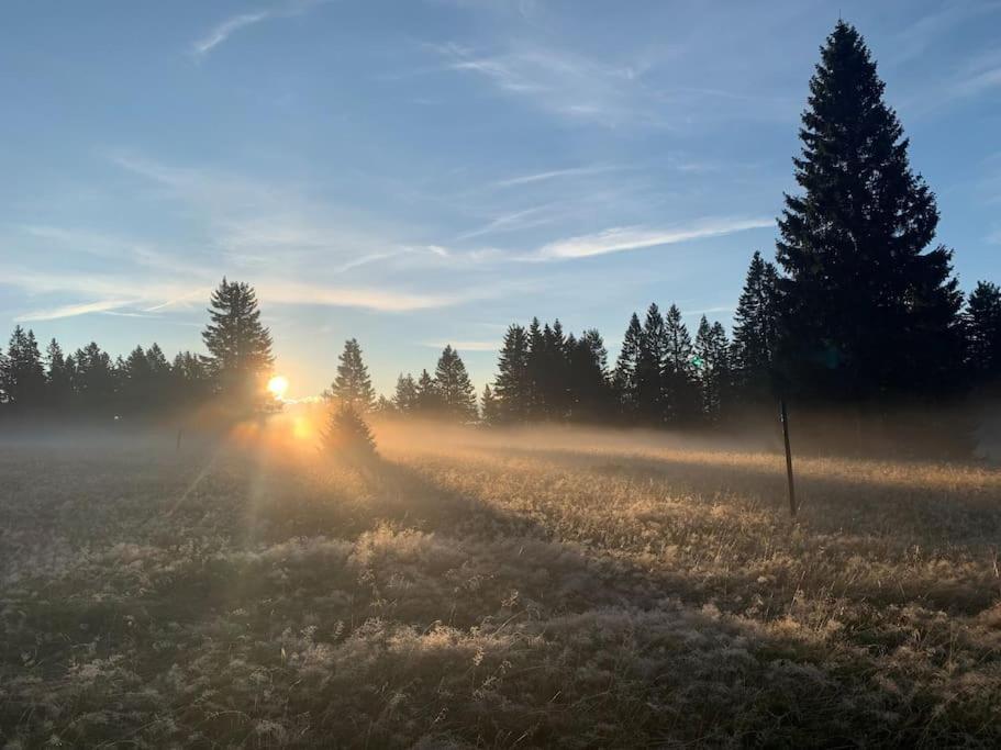 Stube9 Am Feldberg, Direkt An Der Skipiste, Ski In-Ski Out フェルトベルク エクステリア 写真