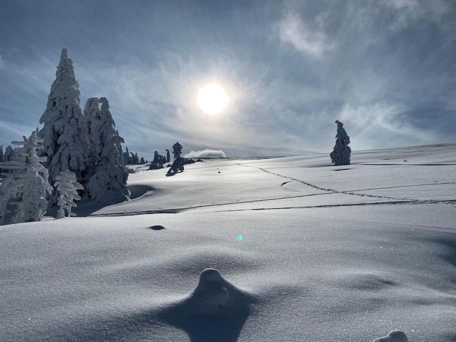 Stube9 Am Feldberg, Direkt An Der Skipiste, Ski In-Ski Out フェルトベルク エクステリア 写真