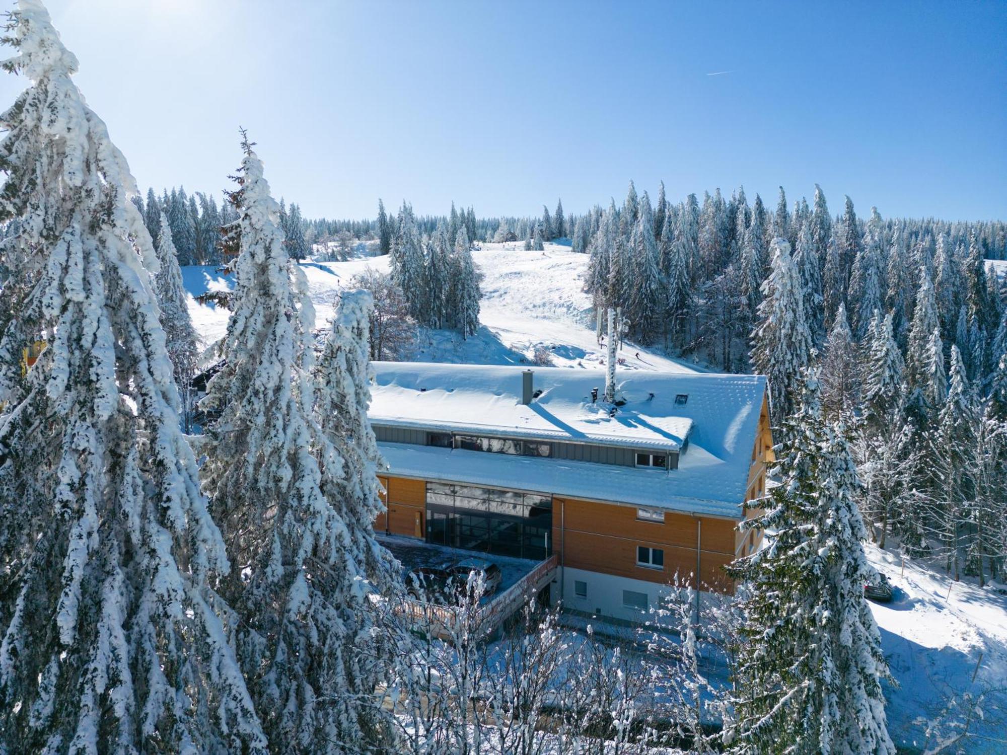 Stube9 Am Feldberg, Direkt An Der Skipiste, Ski In-Ski Out フェルトベルク エクステリア 写真
